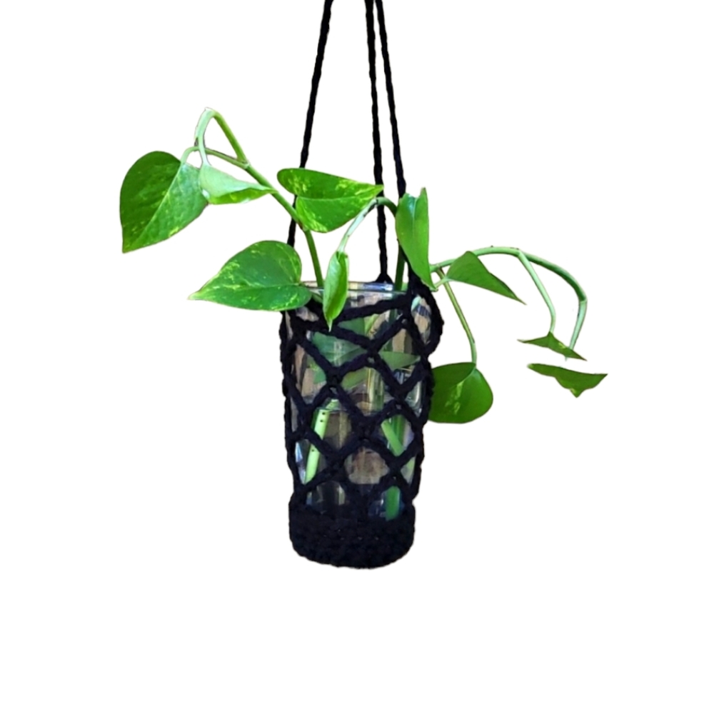 Plant Hanger